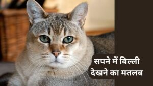 Sapne me Cat Dekhna